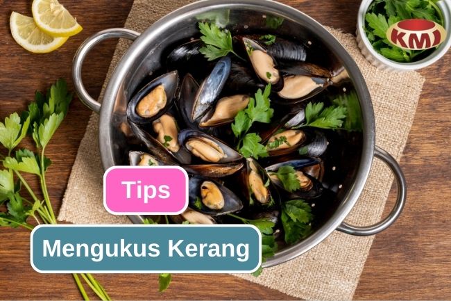 Panduan Mengukus Kerang, Cocok Untuk Pemula